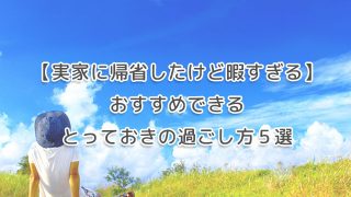 【実家に帰省したけど暇すぎる】おすすめできるとっておきの過ごし方５選