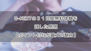 U-NEXTの３１日間無料体験を試した感想【ポイント付与が最大の魅力】